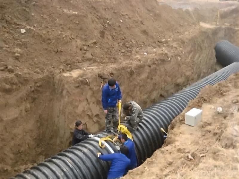 paraiška2 paraiška2